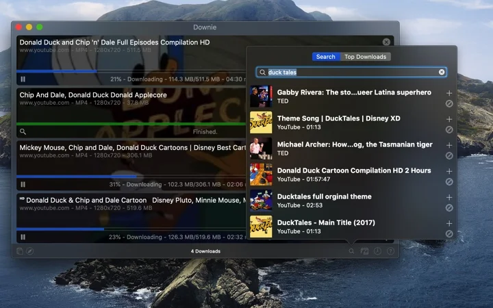 The built-in video search over the download list